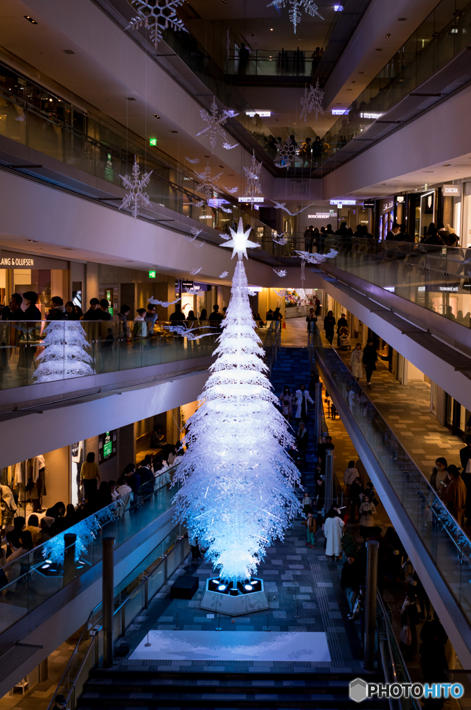 クリスマスツリー