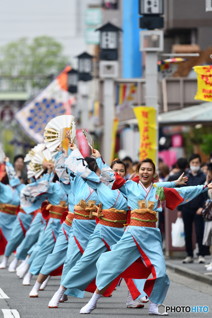 よさこい４