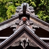 睨みを利かす