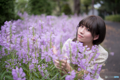 花虎の尾