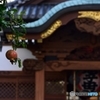 入谷鬼子母神
