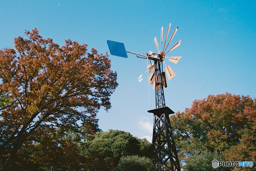 港の見える丘公園