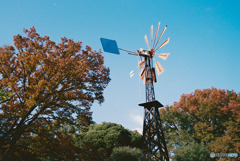 港の見える丘公園