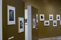 イメージの釣り人