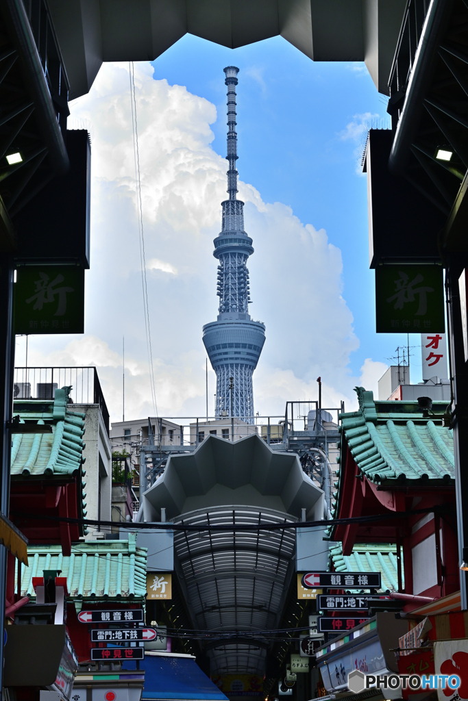スカイツリーを探して2