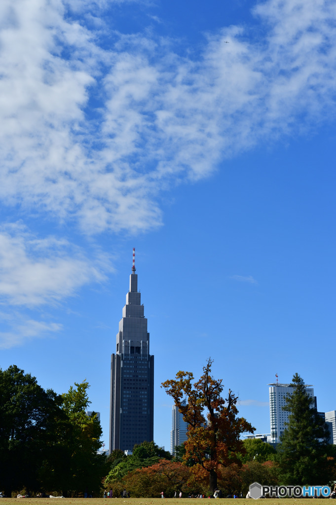 ビルヂングを借景に