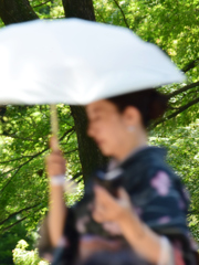 花菖蒲を探して3