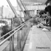 ぶらり東京駅八重洲口3