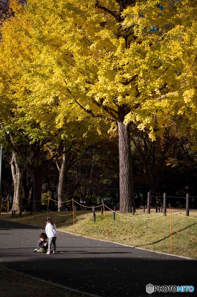 新宿中央公園2