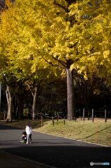 新宿中央公園2
