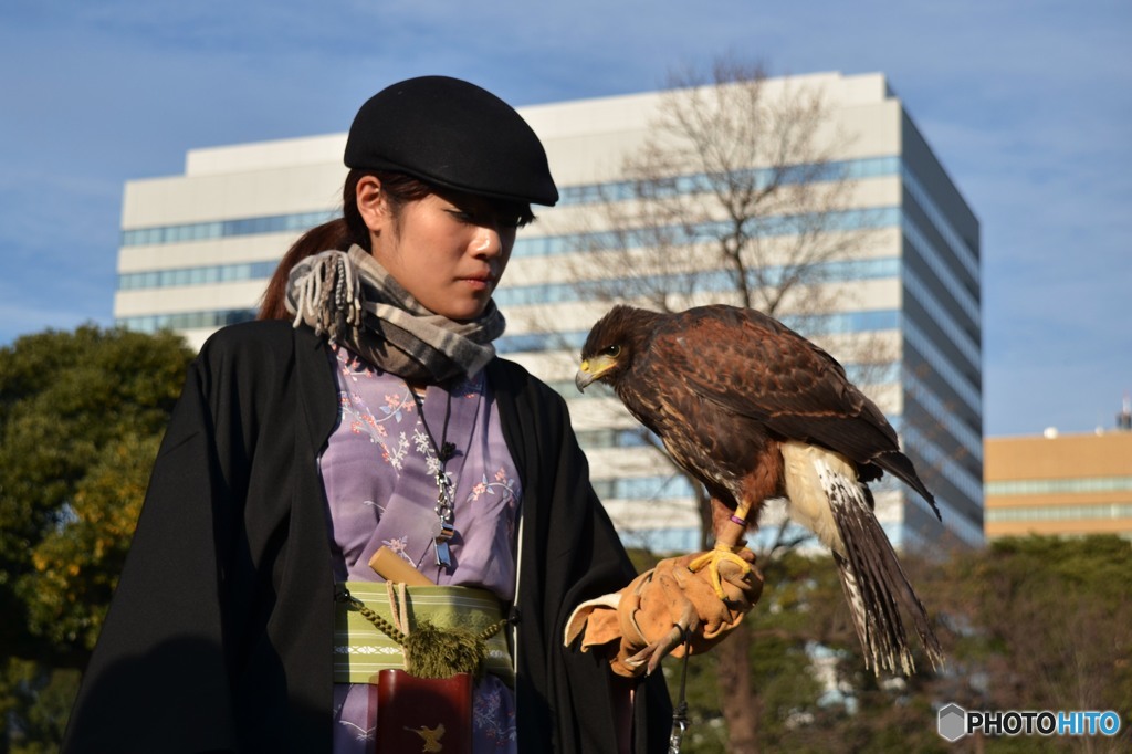 都会の庭園で鷹狩