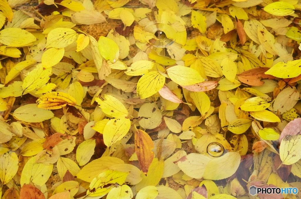 静かに沈みゆく