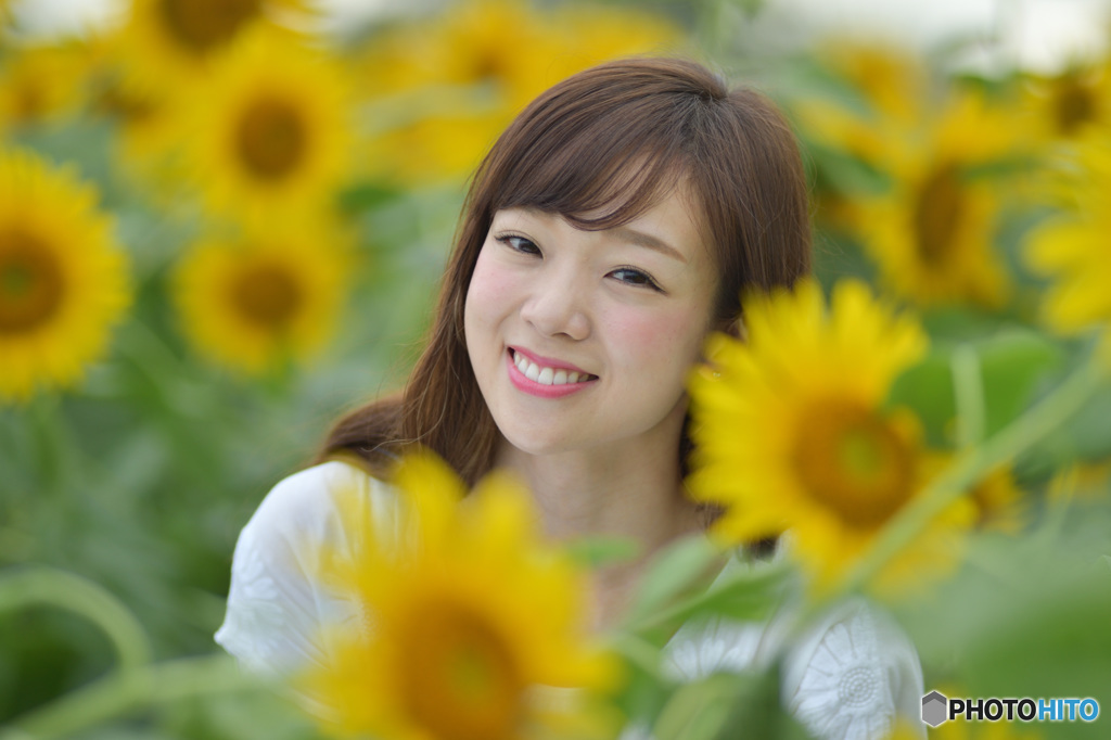 ひまわりに寄り添って