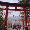階段を登りきると