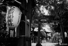 小野照崎神社