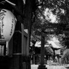 小野照崎神社