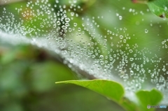 梅雨前線