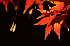 未来の上野の森