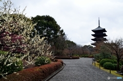 東寺の象徴