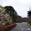 東寺の象徴