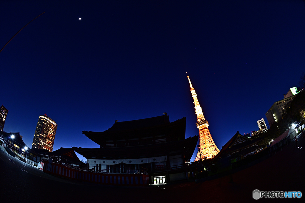 増上寺とタワー