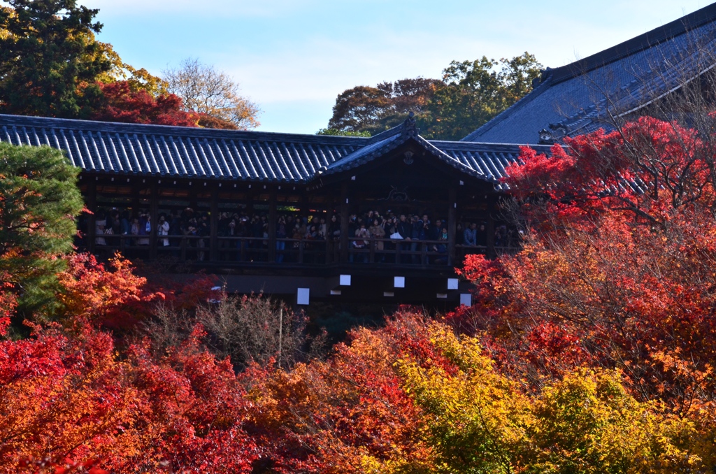 東福寺４