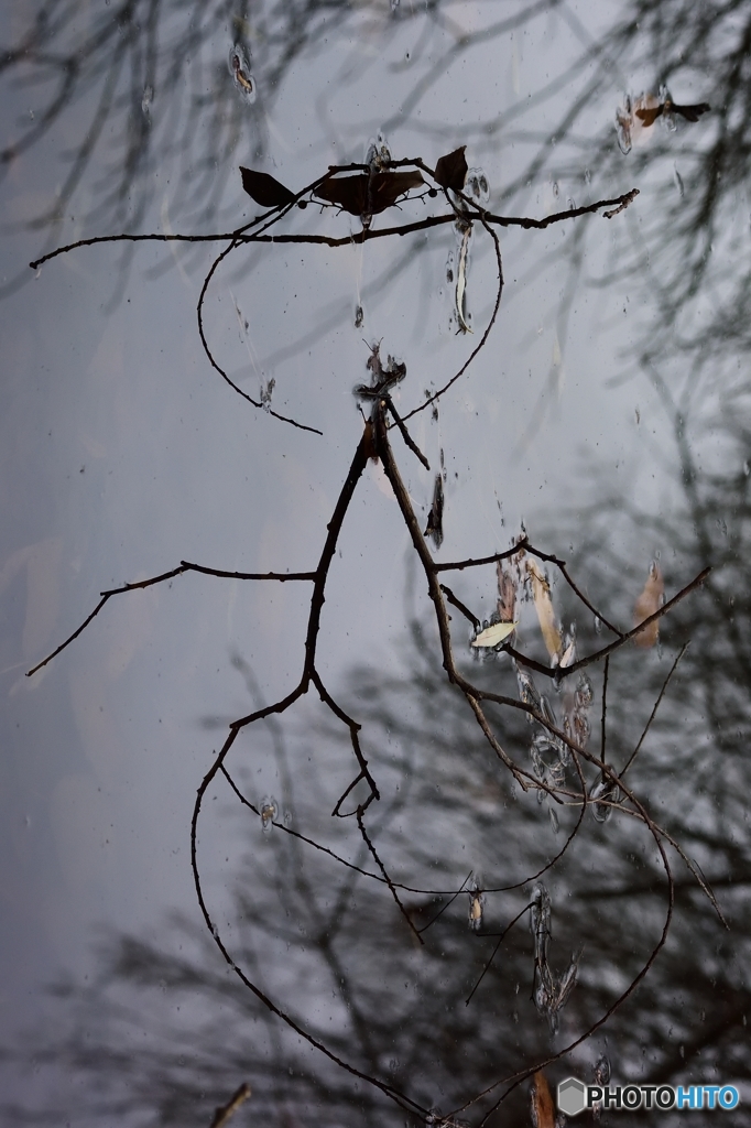 枯れ枝でお絵かき