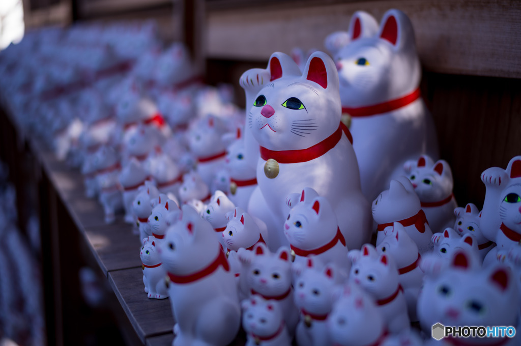 招き猫