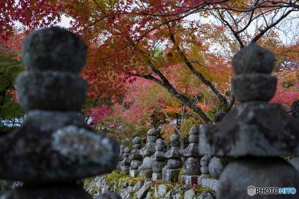 あだし野念仏寺3