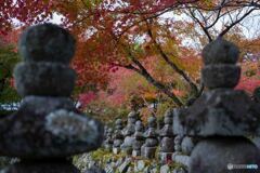 あだし野念仏寺3