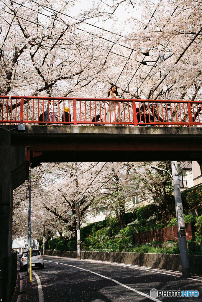 朱色の橋