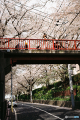 朱色の橋