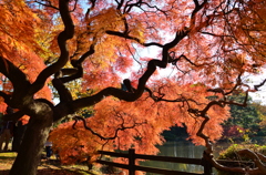 手向山