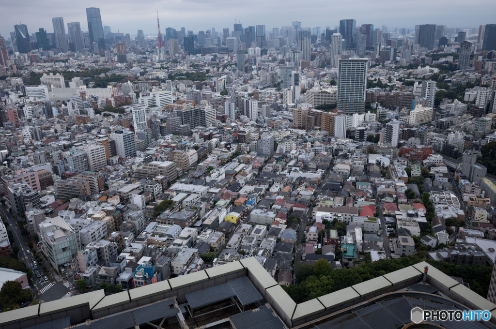 ３８階からの眺め