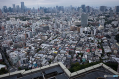 ３８階からの眺め