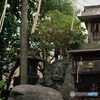 平井の富士塚2