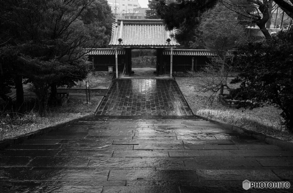 雨の湯島聖堂