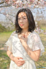 桜のタトゥー