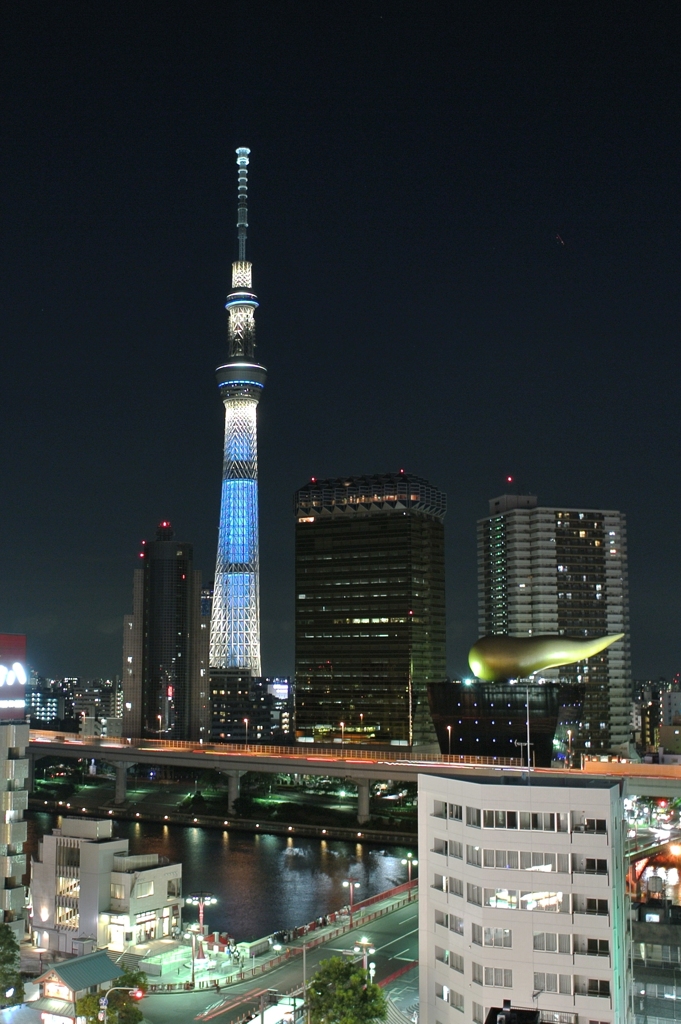 浅草文化観光センターから