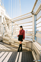 サウスサイドを往く