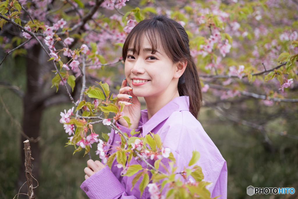 桜を探して2