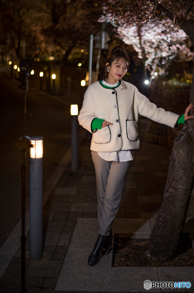 夜桜2