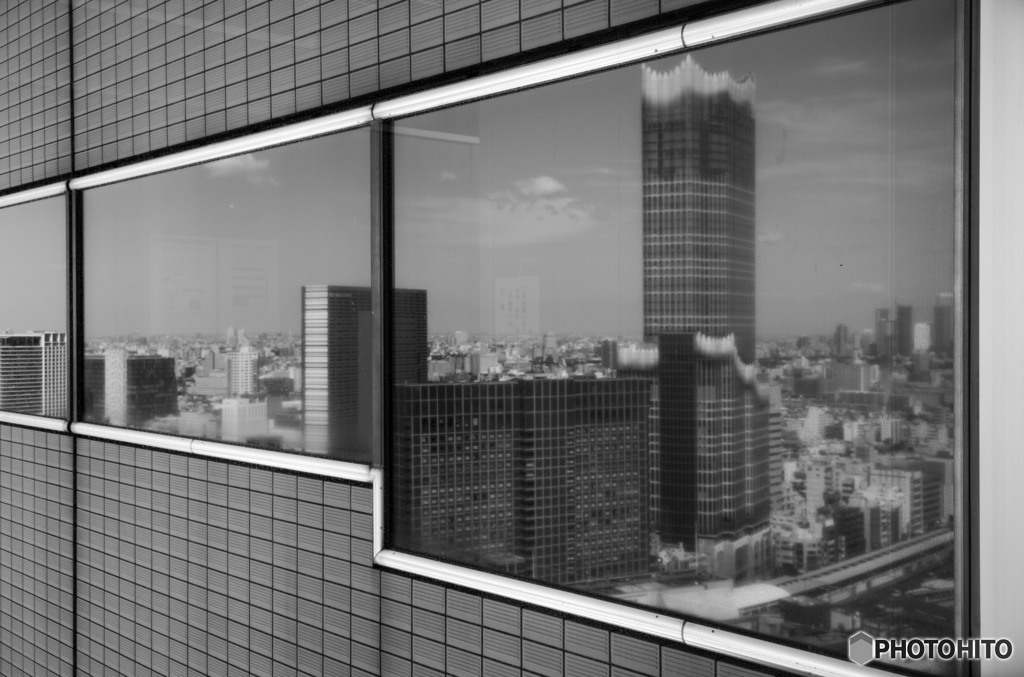 東急歌舞伎町タワーが見える