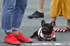 くんくん 水のにおいだ～