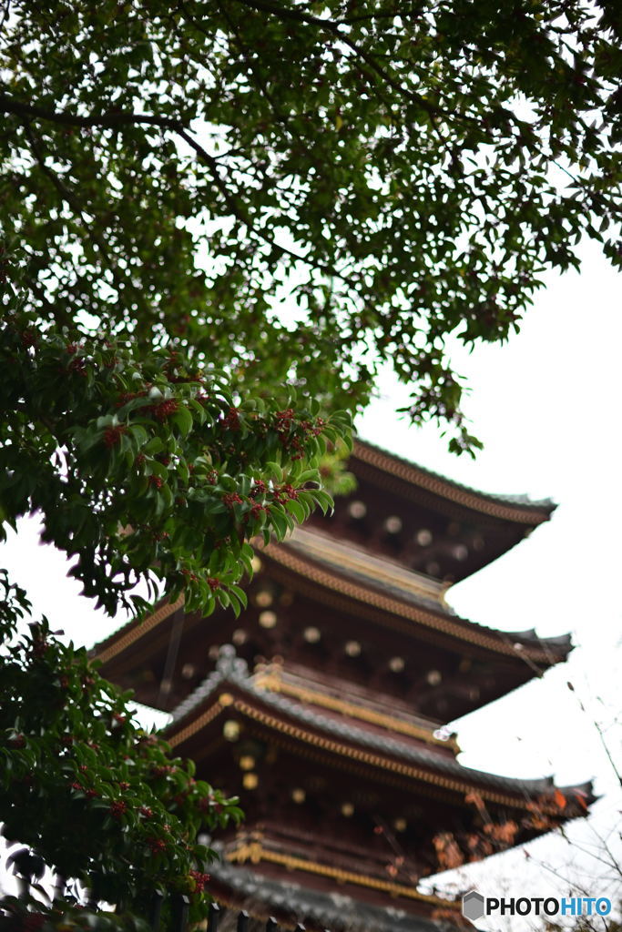 旧寛永寺五重塔