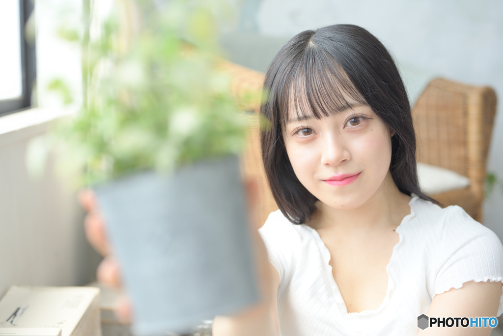 鉢植え