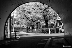 中原街道下トンネル