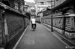 観音寺の築地塀