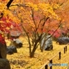秋色の枯山水