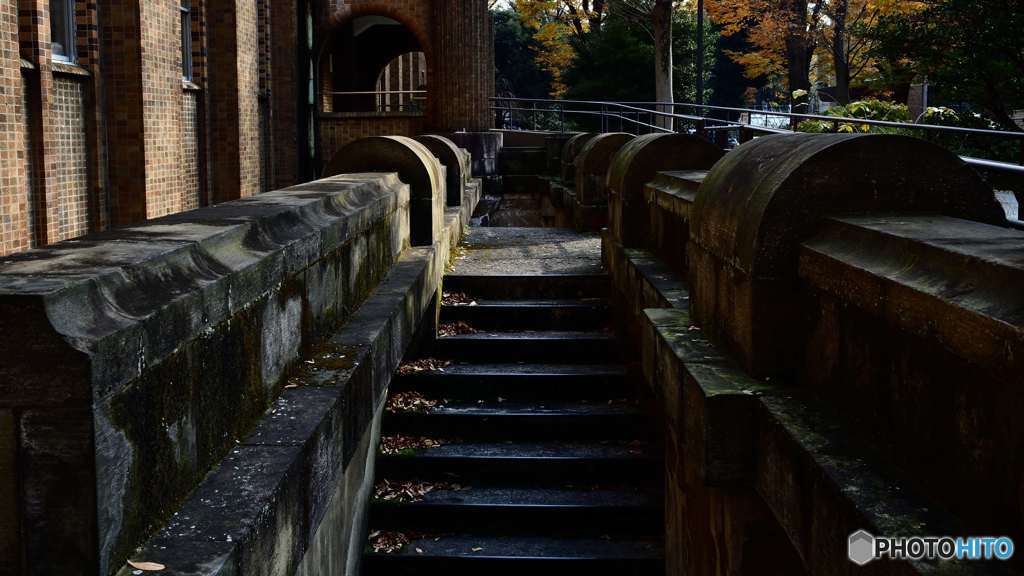 ぶらり本郷キャンパス3